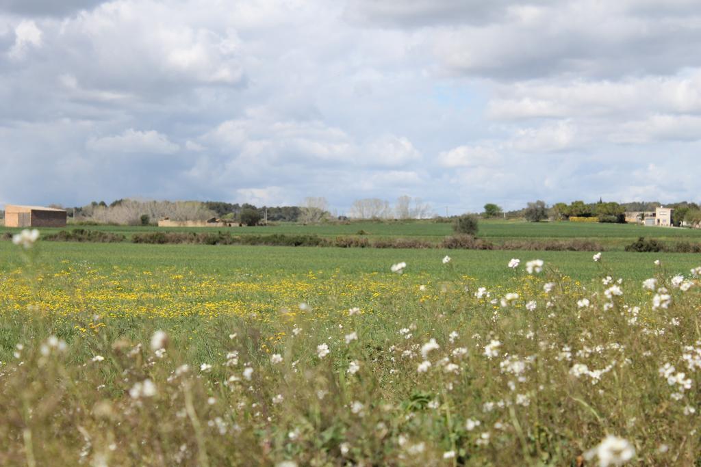 Allotjament Activitats Bora Bora-Empordà Verges Exterior foto